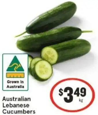 Australian Lebanese Cucumbers per kg