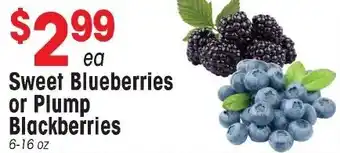 IGA Sweet Blueberries or Plump Blackberries offer