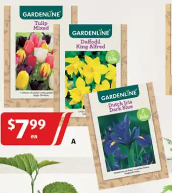 ALDI Assorted Packet Bulbs offer