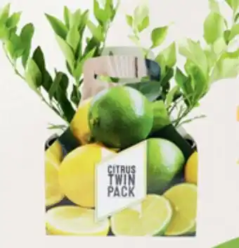 ALDI Citrus Twin Pack offer