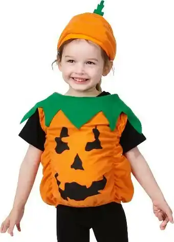 Spotlight 30% off Spooky Hollow Pumpkin Toddler Costume offer