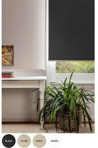 Spotlight 40% off Rylee Sunout Roller Blinds offer