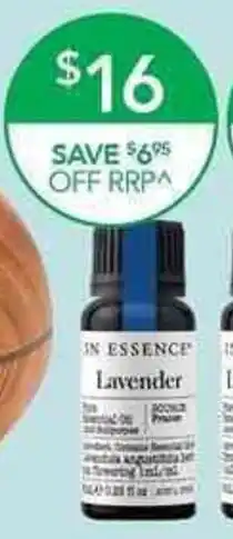 In Essence Lavender