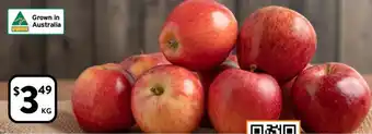 Foodworks Gala Apples offer