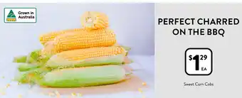 Foodworks Sweet Corn Cobs offer