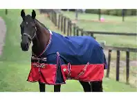Pet stock Caribu Alpine Rug 200g Navy/ Red offer
