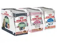 Royal Canin Feline Wet Pouch 85g 12 Pack