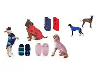 Kazoo New Dog Coats