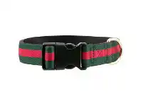 DGG Poochi Collar
