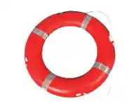 Lifebuoy Ring