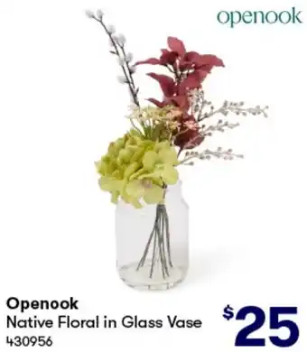 BIG W Openook Native Floral in Glass Vase offer