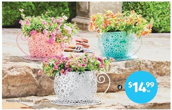 ALDI Tea Cup Planter offer