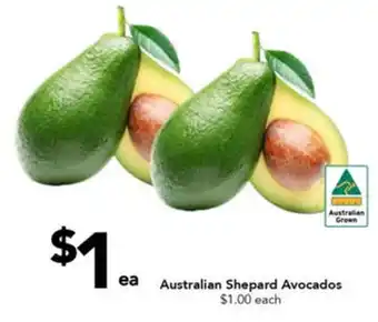 Drakes Australian Shepard Avocados offer