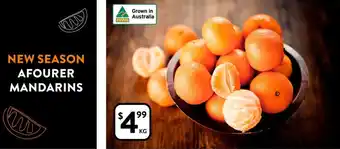 Foodworks AFOURER MANDARINS offer