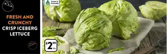 CRISP ICEBERG LETTUCE