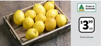 Foodworks Fresh Lemons offer