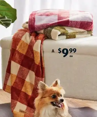 ALDI Pet Throw Blanket offer