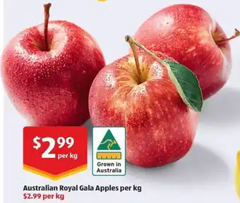 Australian Royal Gala Apples per kg