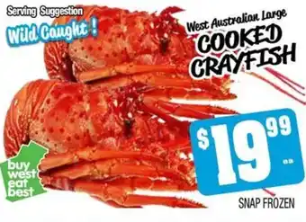 West Australian Large COOKED CRAYFISH