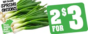 WA Grown SPRING ONIONS