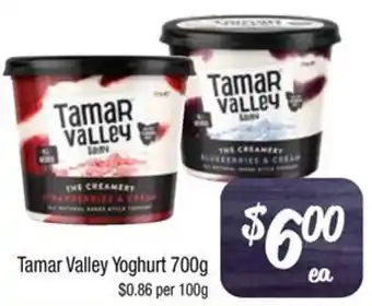 Tamar Valley Yoghurt 700g