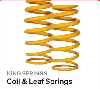 Coil & Leaf Springs