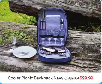SuperCheap Auto Cooler Picnic Backpack Navy offer