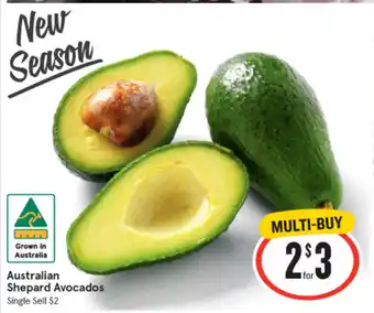 IGA Australian Shepard Avocados offer