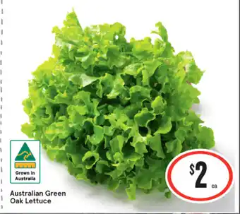 IGA Australian Green Oak Lettuce offer