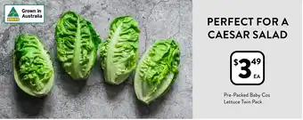 Pre-Packed Baby Cos Lettuce Twin Pack