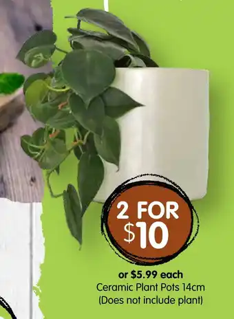 Ceramic Plant Pots 14cm