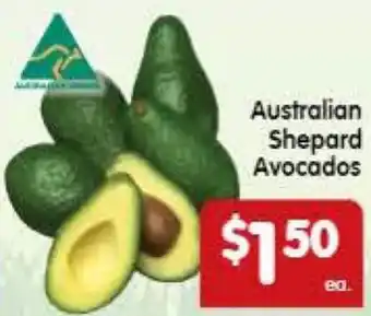 Spar Australian Shepard Avocados offer