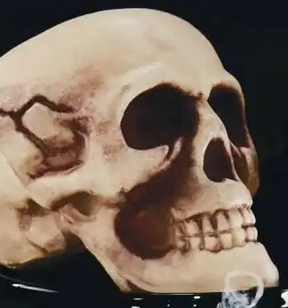 Halloween Sound & Light Talking Skull