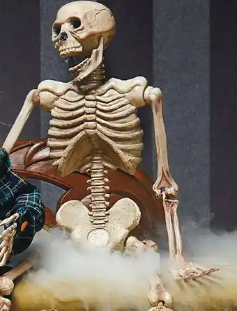 Woolworths Halloween Large Hanging Skeleton offer