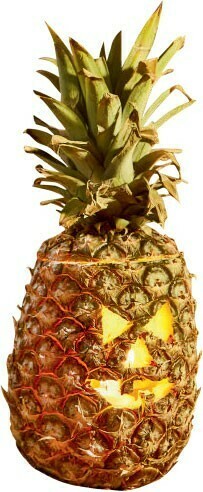 Australian Top On Pineapple