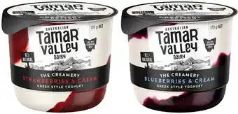 Coles Tamar Valley Dairy The Creamery Yoghurt 170g offer