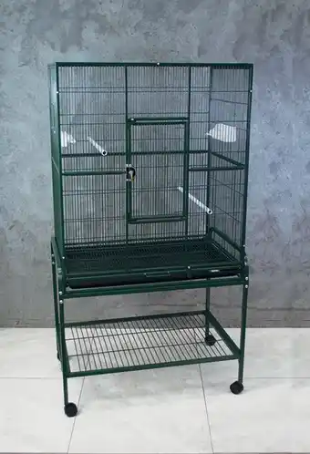 Bird Flight Cage
