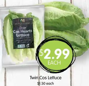 Spudshed Twin Cos Lettuce offer
