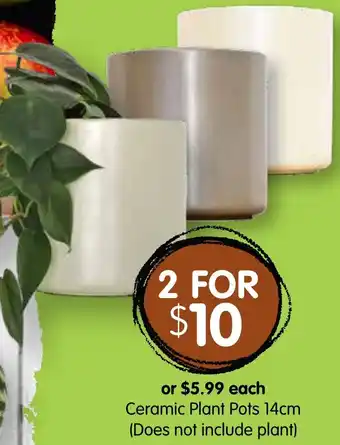 Ceramic Plant Pots 14cm