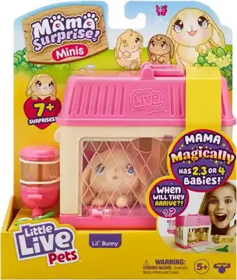 BIG W Live Little Pets Assorted Mama Surprise Mini Playsets offer