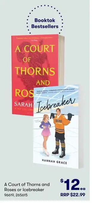 A Court of Thorns and Roses or Icebreaker