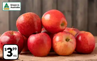 Foodworks Gala Apples offer
