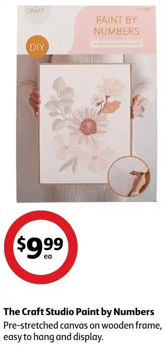 Coles The Craft Studio Paint by Numbers offer