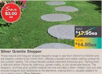 Nuway Silver Granite Stepper offer