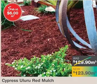 Nuway Cypress Uluru Red Mulch offer