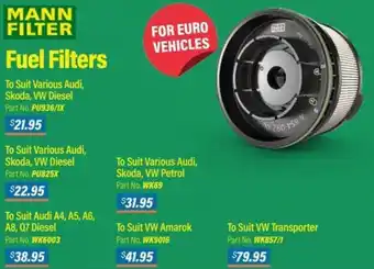 Burson Auto Parts Fuel Filters offer