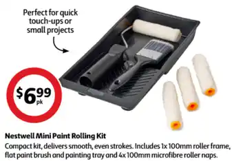 Coles Nestwell Mini Paint Rolling Kit offer