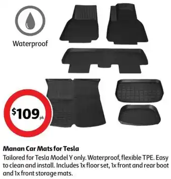 Manan Car Mats for Tesla