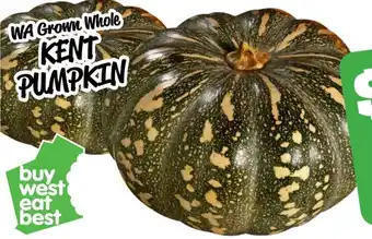 WA Grown Whole KENT PUMPKIN