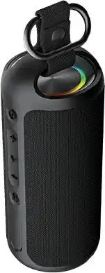 Cheap as Chips Blaupunkt Portable Speaker offer